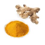 Turmeric-Extract