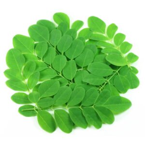 moringa-leaf